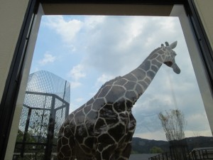 京都市動物園