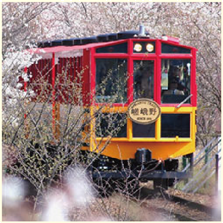 嵯峨野トロッコ列車