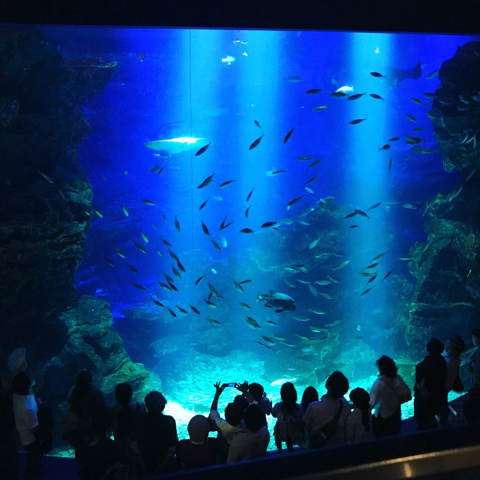 京都水族館