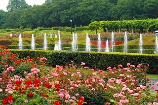 神代植物公園