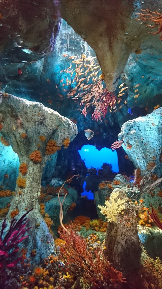 サンシャイン水族館