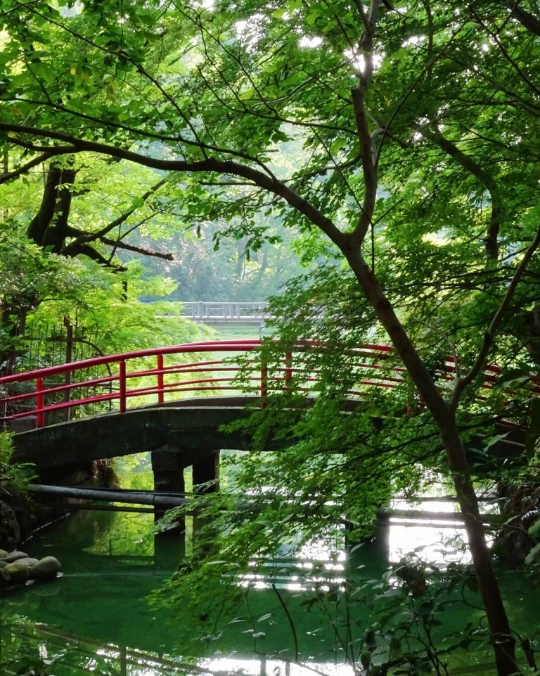 井の頭恩賜公園