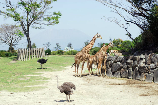 平川動物公園