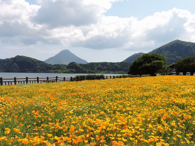 池田湖