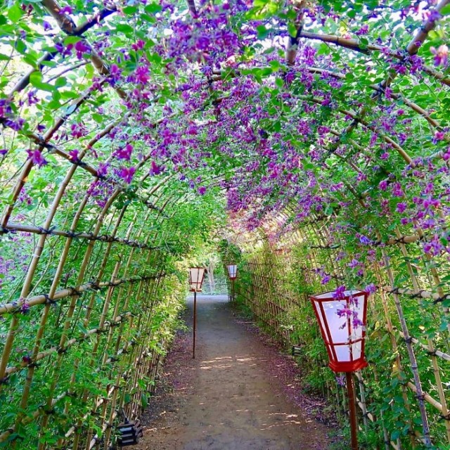 向島百花園