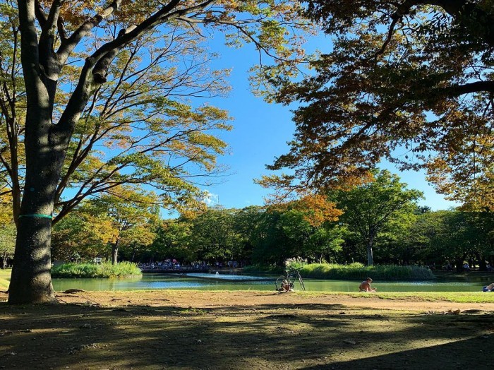 代々木公園