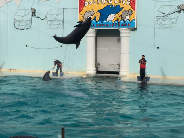 神戸市立須磨海浜水族園