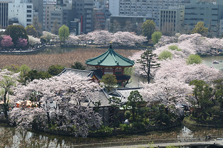 上野恩賜公園