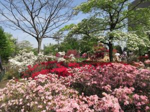 平成つつじ公園