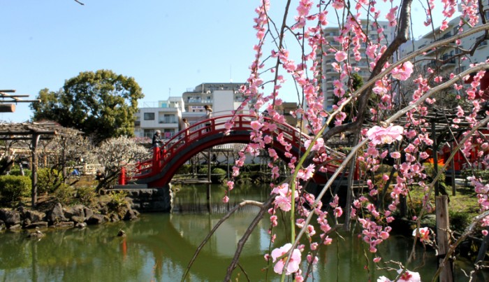 亀戸天神社